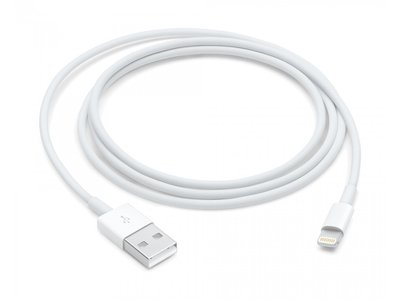 Оригінальний білий кабель Apple Lightning to USB для iPhone 1m (MD818), Білий